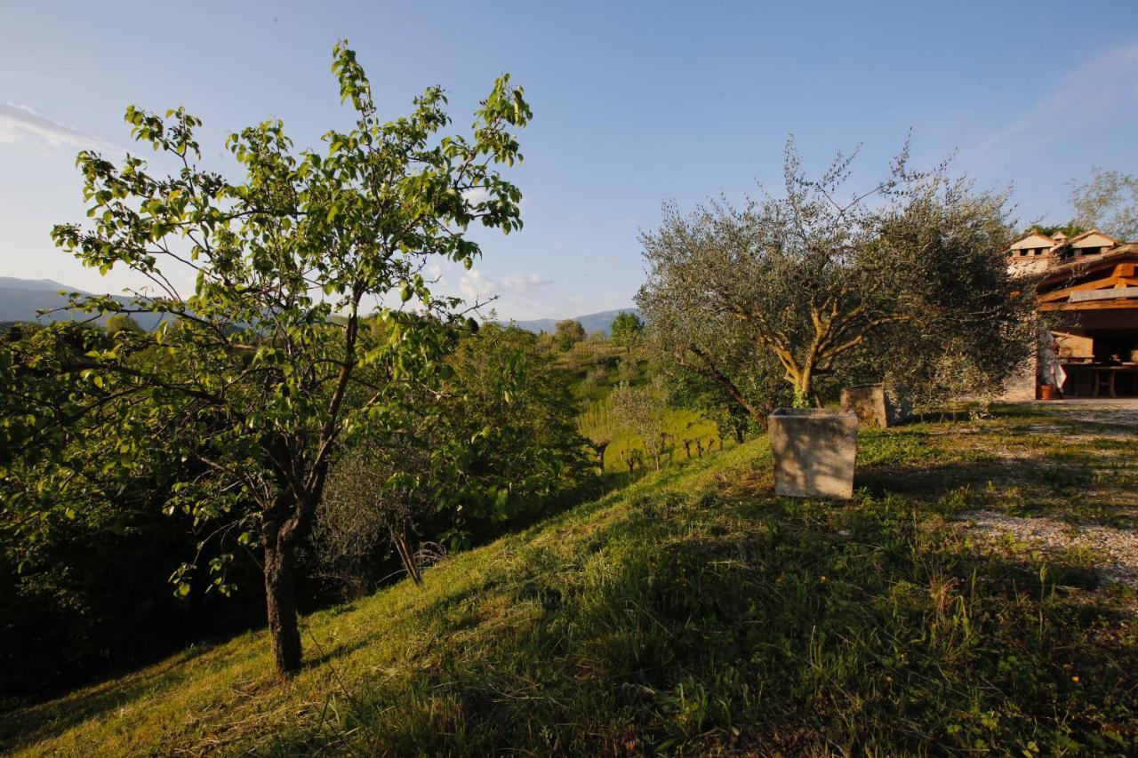 Asolo Norah'S Hill Agri Rooms Monfumo Exterior foto