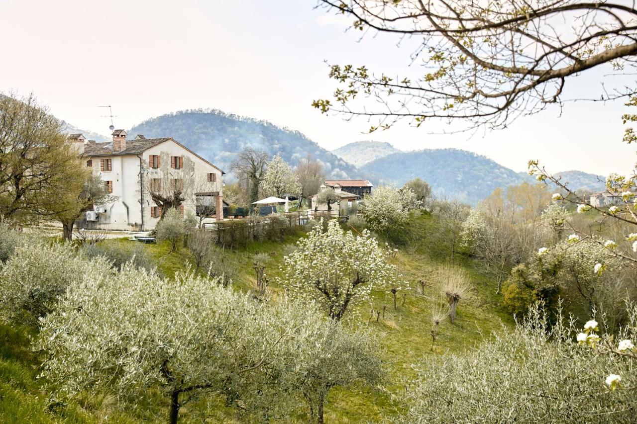 Asolo Norah'S Hill Agri Rooms Monfumo Exterior foto