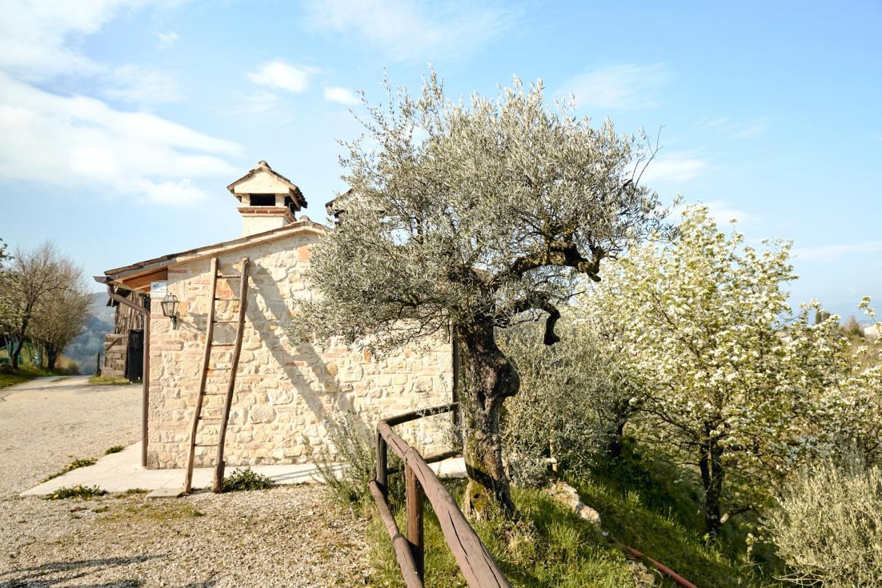 Asolo Norah'S Hill Agri Rooms Monfumo Exterior foto