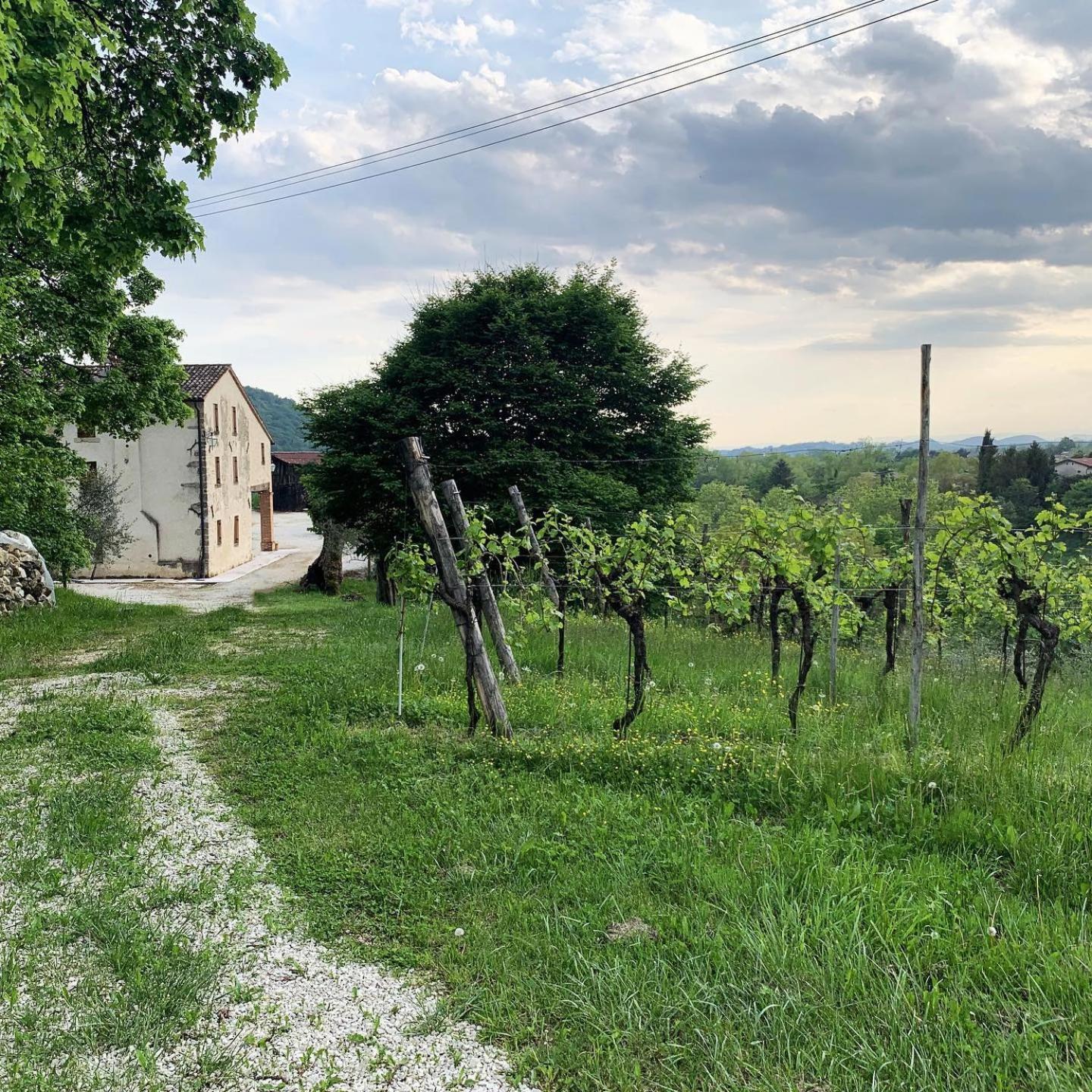 Asolo Norah'S Hill Agri Rooms Monfumo Exterior foto